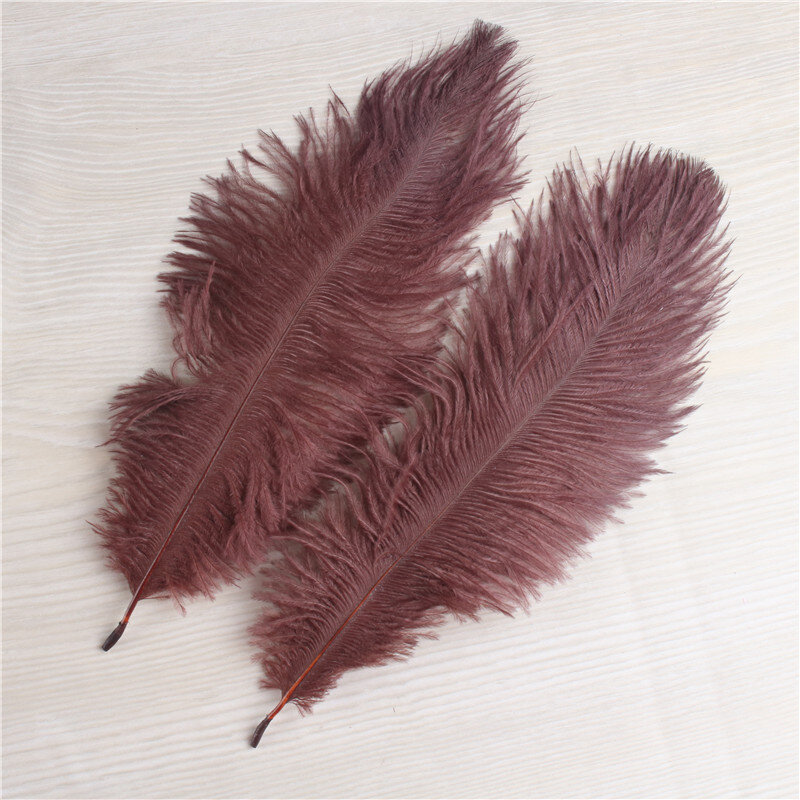 The New 10pcs/lot Ostrich Feather Coffee 6-8 Inches/15-20cm Craft Dancers Party Celebration for Feathers