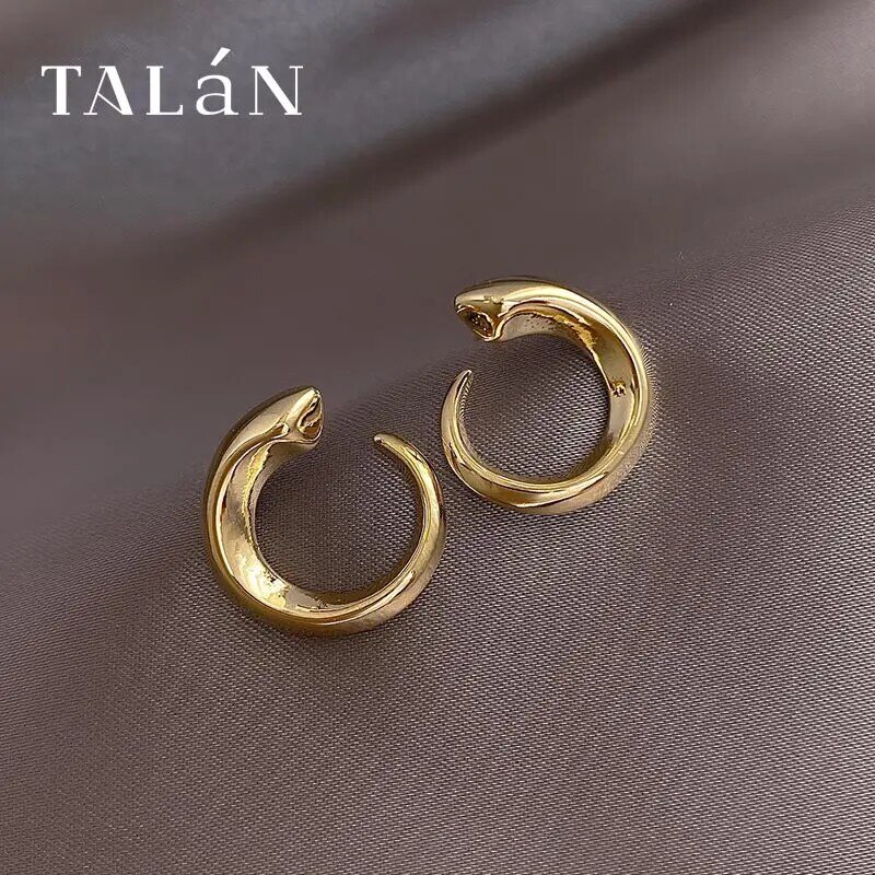 Gold Pigment Ring Simple Earrings Korean Temperamental Cold Style 925 Silver Stud Earrings Internet Celebrity Fashion and