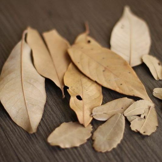10pcs 레트로 사진 소품 숲 아기 세트 사진 복고풍 소품 일치하는 배경 소나무 콘 잎