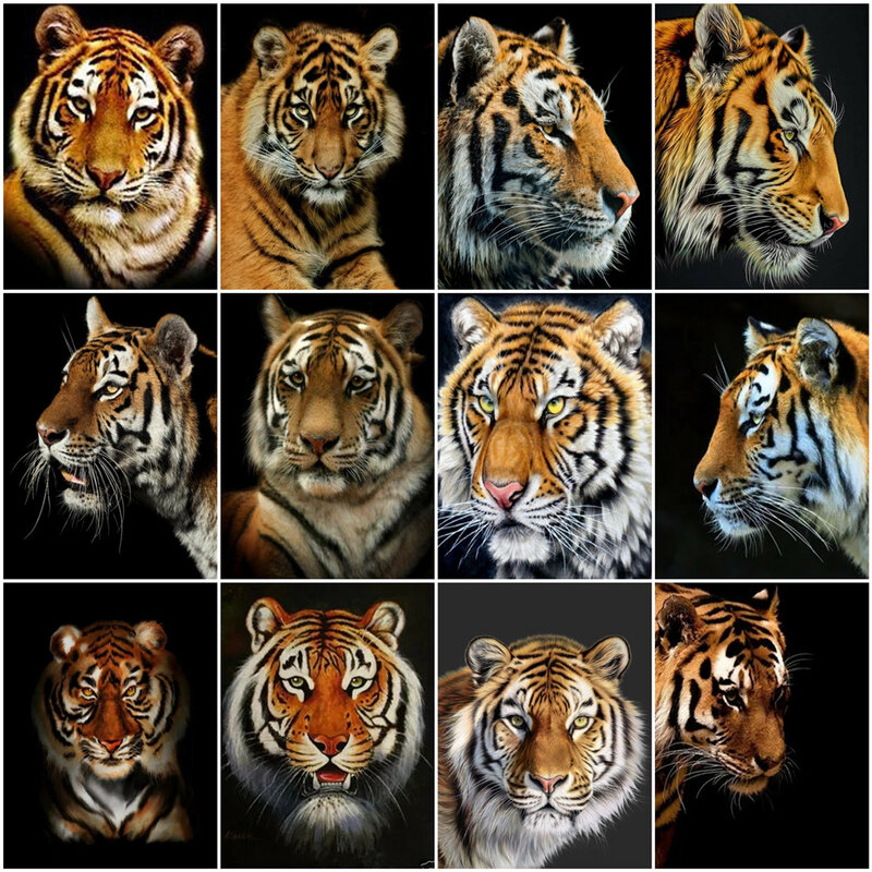 HUACAN-Kit de pintura por número de Tigre, lienzo de dibujo de animales, imágenes por número, regalo pintado a mano, decoración del hogar, 60x75cm