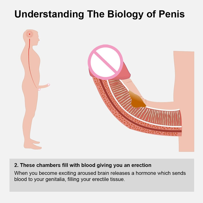 Pompa del pene elettrica giocattoli del sesso per gli uomini masturbatore maschile estensore del pene ingrandimento Enhancer pompa del vuoto manicotto di potenziamento del pene