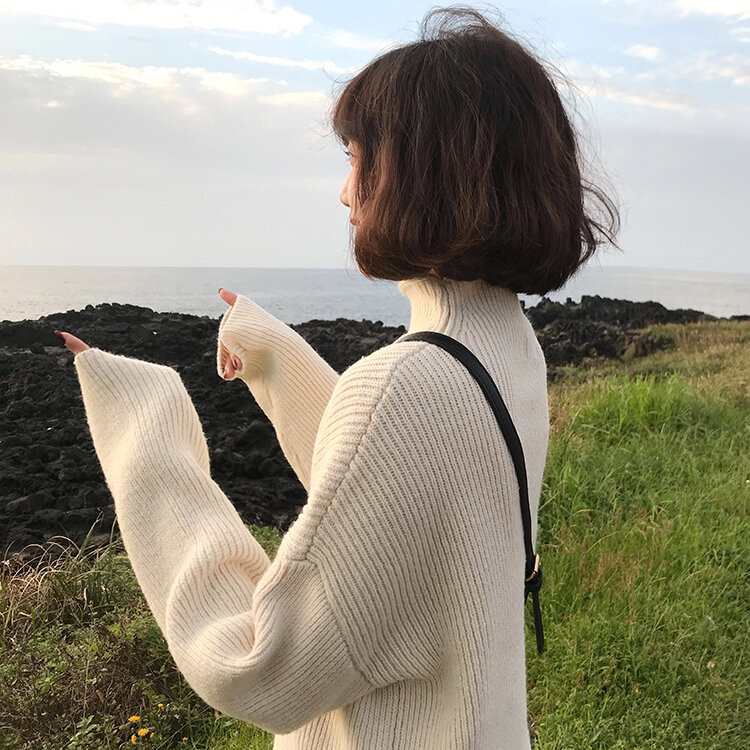 Женская осенне-зимняя однотонная водолазка, теплые свитера и пуловеры 5 видов цветов 2018