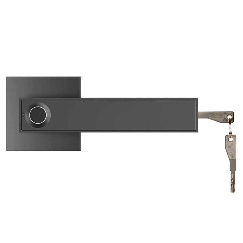 อิเล็กทรอนิกส์สมาร์ทล็อค Semiconductor Biological ลายนิ้วมือ Handle Key ล็อคปลดล็อคประตูตรวจจับสำหรับ Home Office Keyless Security
