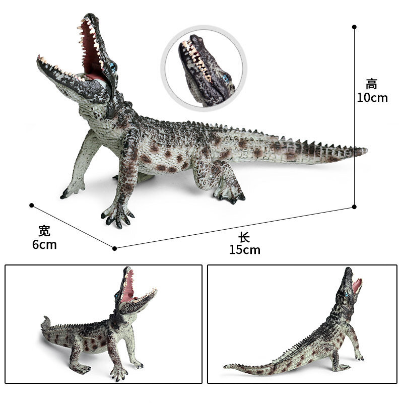 Figura de acción de cocodrilo para niños, juguete de simulación de cocodrilo chino, regalo de decoración