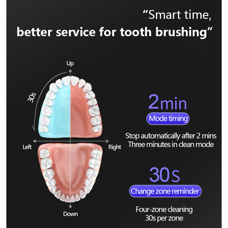 Escova de dentes elétrica para adultos recarregável caso viagem conjunto titular sônico cepillo de dientes elétrica escova de dentes elétrica