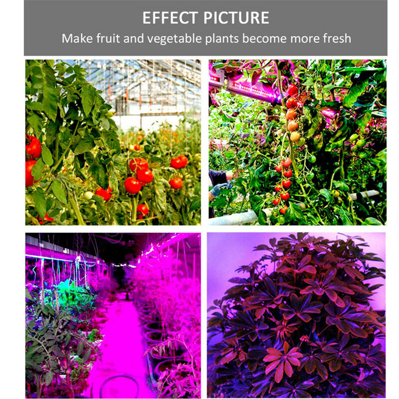 Fita de led para cultivo de plantas hidropônicas, espectro completo, lâmpada para crescimento de mudas, 12v