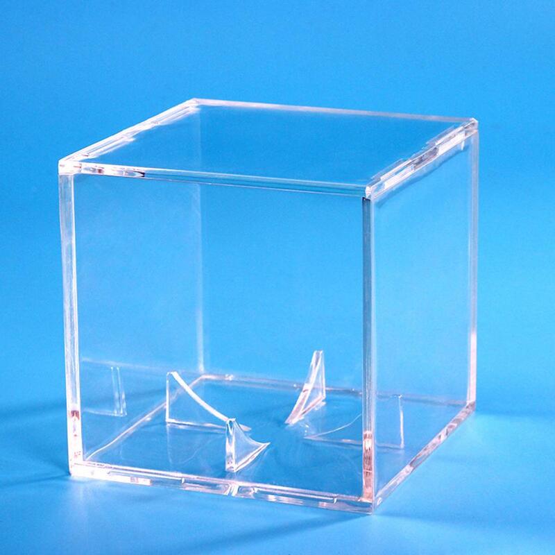 Safe  Long-lasting Baseball Clear Square Holder Durable Baseball Show Box Transparent   Sports Supplies