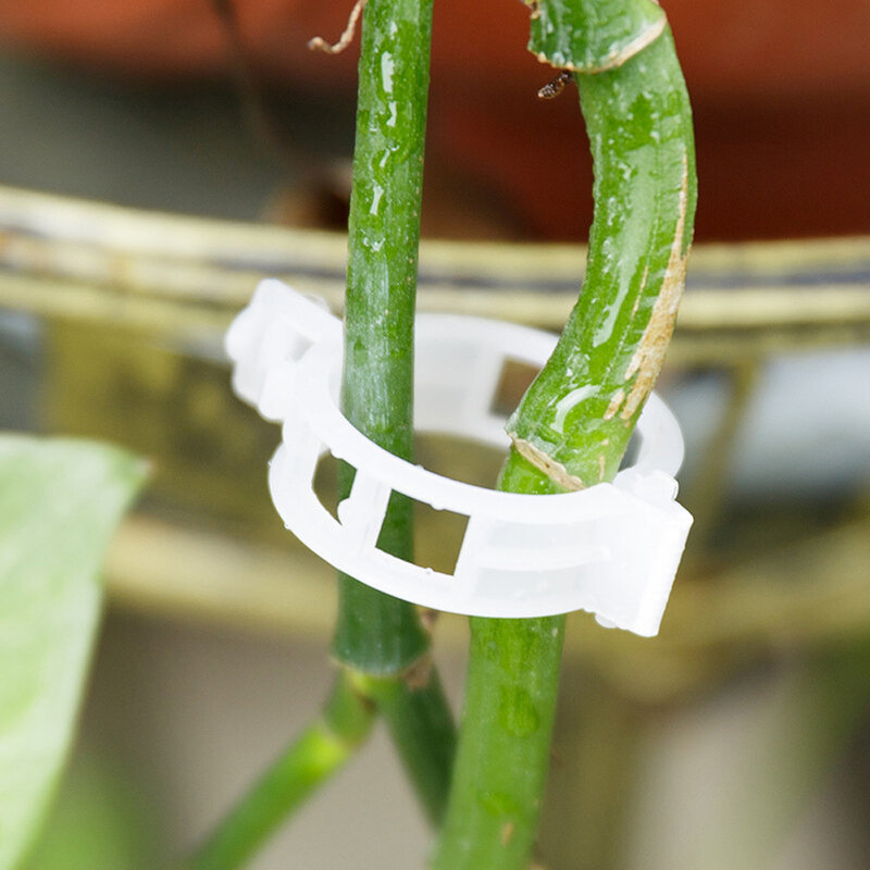 100pc treliça tomate clipes suporta conecta plantas videiras treliça fio gaiolas