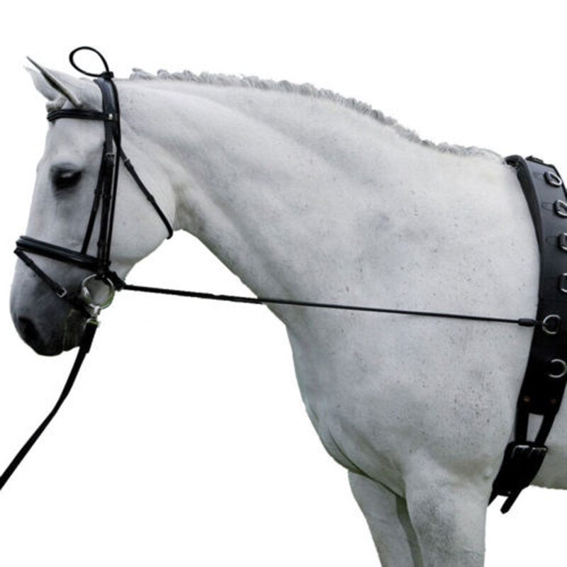 Civière de cou noire équitation de 10 pieds, fournitures d'entraînement pour chevaux avec crochet réglable avec extrémité à pression