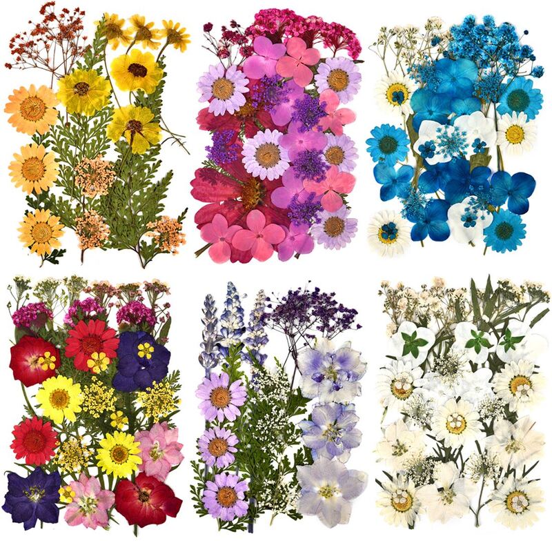 1 paquete de flores secas de resina UV, pegatinas de flores naturales para bricolaje, relleno de resina epoxi, joyería hecha a mano, decoración artesanal