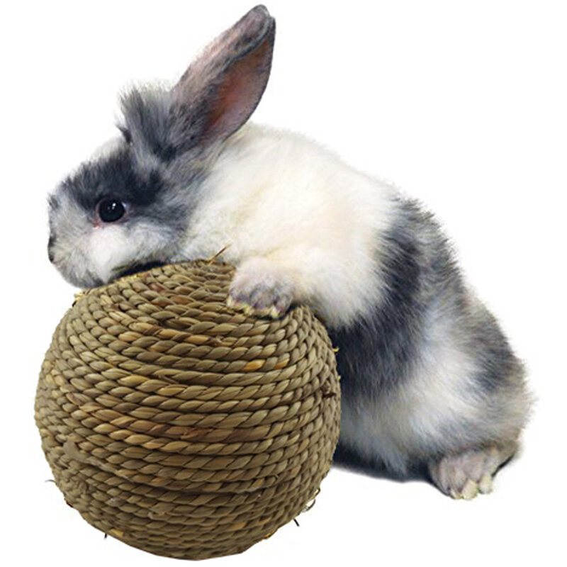 6 سنتيمتر الحيوانات الأليفة مضغ لعبة الأرنب العشب الطبيعي الكرة ل الأرنب الهامستر غينيا خنزير لتنظيف الأسنان مستلزمات الحيوانات الأليفة هبوط السفينة بالجملة