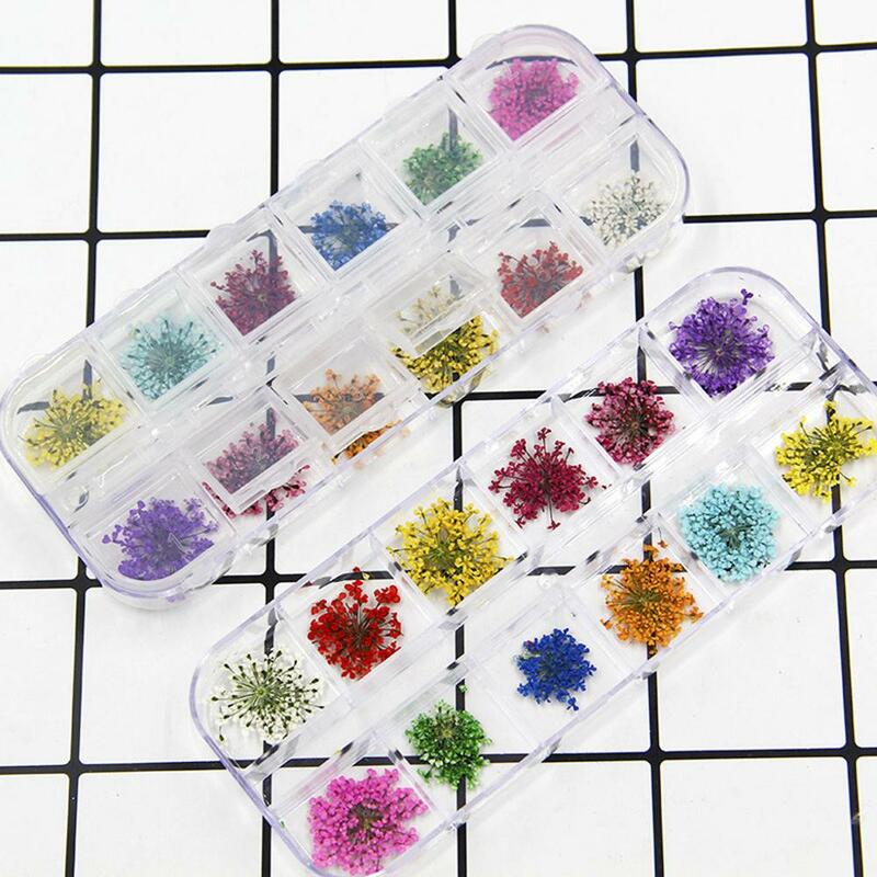 24 sztuk prawdziwe wtopiony kwiat Anne koronki suszony kwiat Nail Art biżuteria z żywicy, dzięki czemu