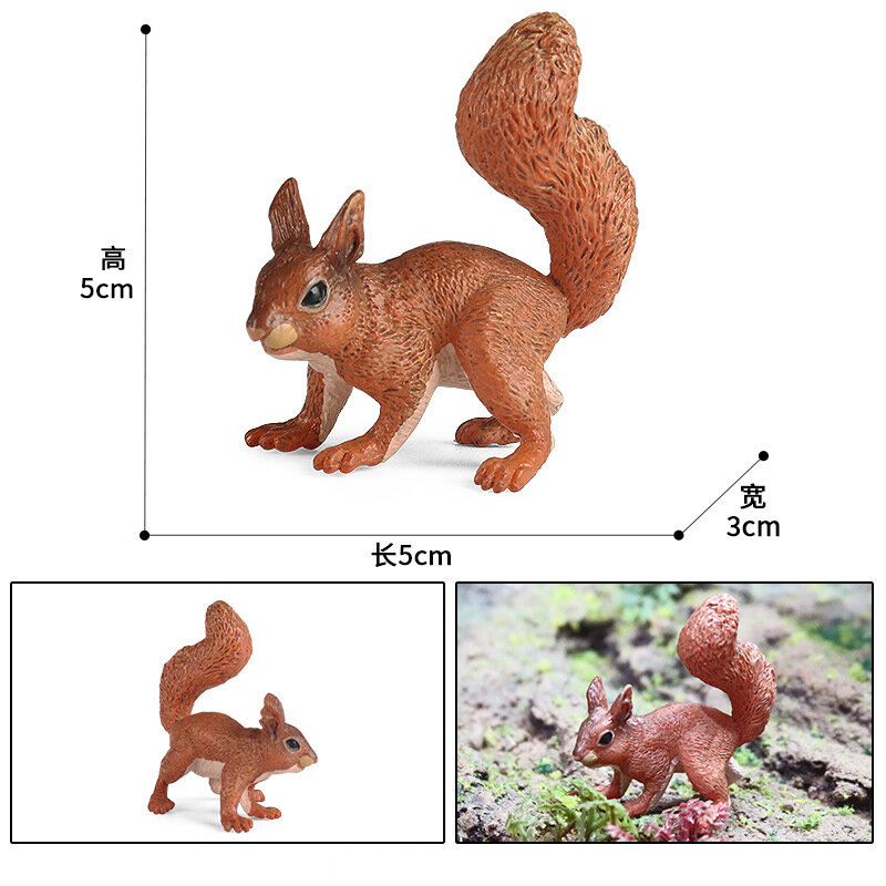 인기 있는 시뮬레이션 동물 플라스틱 액션 PVC 솔리드 모델, 다람쥐 피규어 컬렉션, 어린이 교육, 어린이 인지 선물