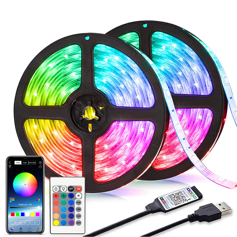 Tira de Luces LED RGB 2835 con Control por Bluetooth, cinta de lámpara Flexible USB de 5V, para Festival, Fita, dormitorio, Tira de TV, Luz de decoración de fondo