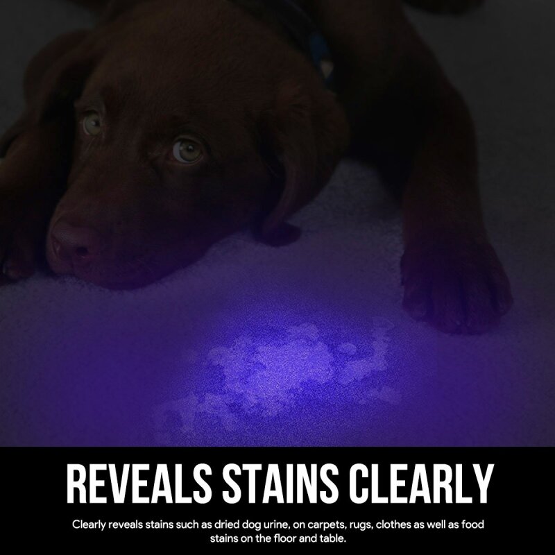 Latarka LED UV 395nm światło fioletowe UV ultrafioletowe czarne światło detektor latarka dla psa moczu, Pet plamy przez baterię AAA