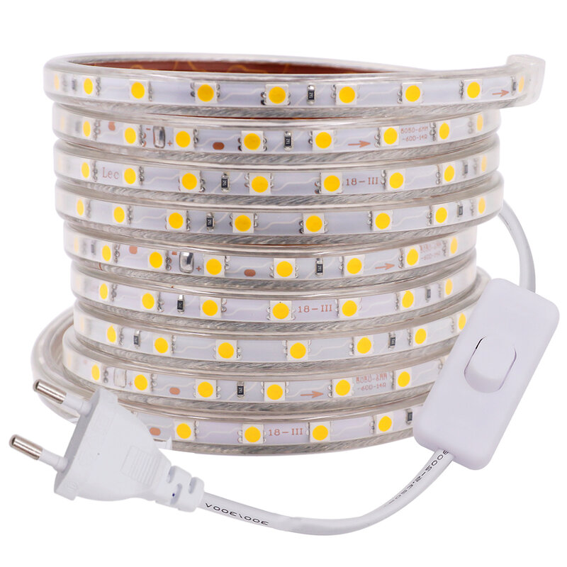 Tira de luces LED Flexible para decoración del hogar, 220V, 110V, 60LED/M, cinta de luces impermeable con enchufe de interruptor, 1m ~ 5050 m