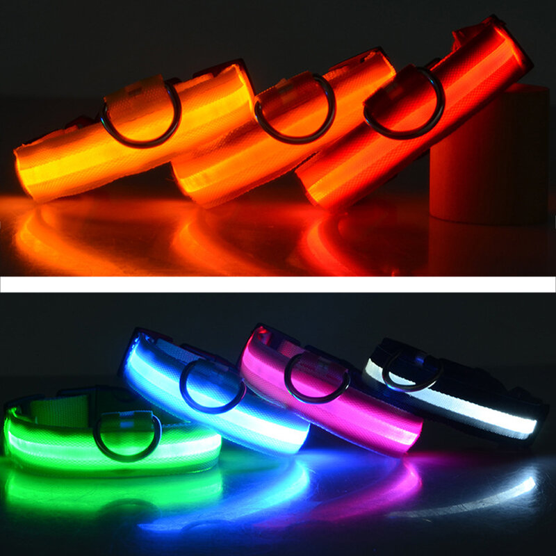USB-Aufladung oder Knopfbatterie Chien Led Hundehalsband Perro Anti-Lost / Autounfall vermeiden Luminoso Safety Personalizado Pet Product