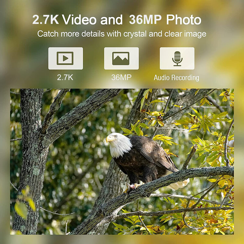 Suntekcam-트레일 사냥 카메라 야간 투시경 카메라, IP65 포토 트랩 HC900A 36MP 2.7K 0.3s 트리거 야생 동물 감시