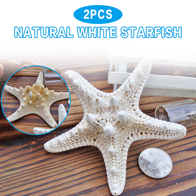 2 piezas de adorno de estrella de mar Natural de océano Tropical, artesanía de decoración del hogar para fiesta de boda, accesorios de estrella de mar