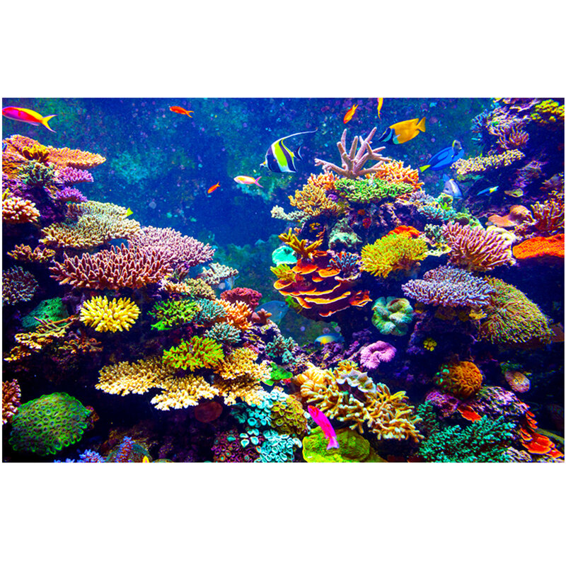 Tapeçaria de parede de impressão colorida mundo subaquático m3114