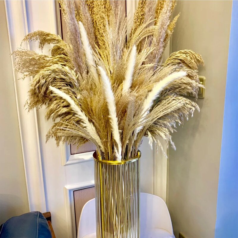 Dried Pampas Grass Decor Fluffy Tall Horsetail Whisk Two-color Hare Tail Grass Dry Flower Combination Set Wedding Flowers