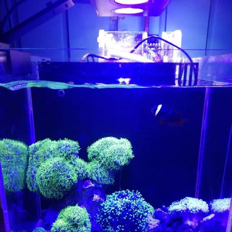 Lampu Akuarium Nano Spectra LED 30W Lampu Air Asin dengan Kontrol Sentuhan untuk Tangki Ikan Batu Koral Steker AS Dropshipping