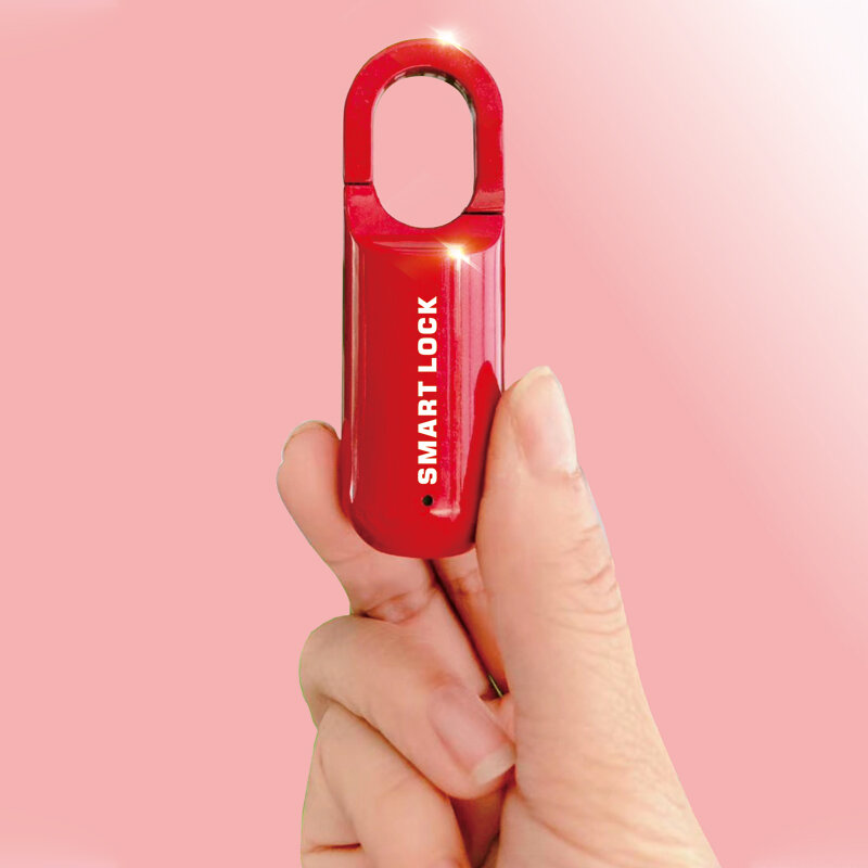 Fingerprint Padlock USB Smart Cabinet Dormitory Anti Theft Multi Function Small Size  Keyless