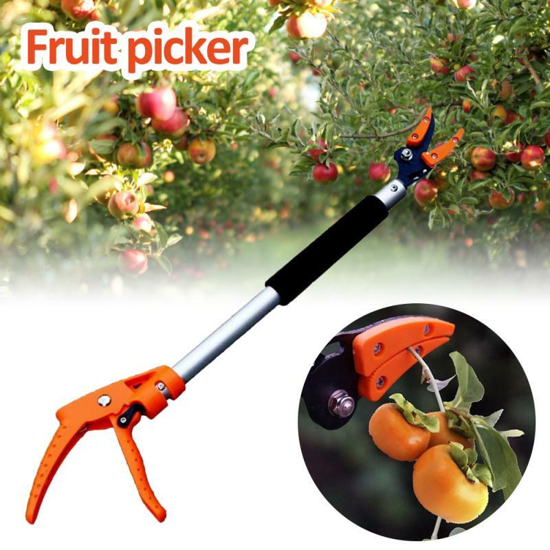 0.6-2m extra longo telescópico poda picador de frutas hold bypass podador max corte 1/2 polegada cortador de árvore jardim ferramentas de fruto apanhador