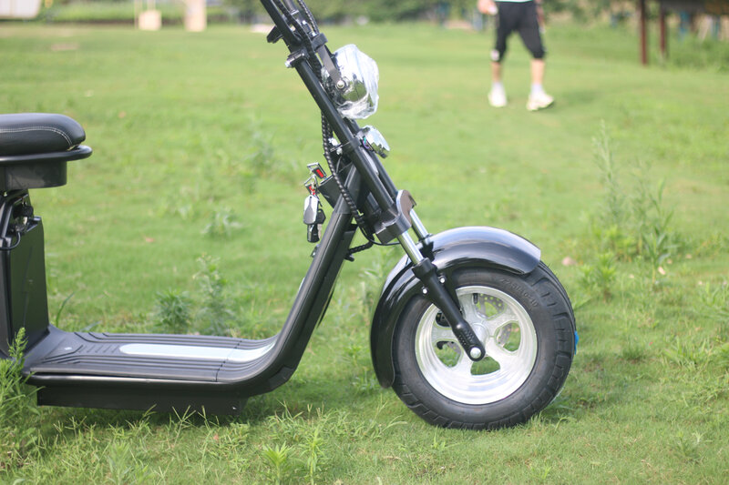 Citycoco-大型タイヤ付き電動スクーター,2000W,20Ah/40Ah,大型車とゴルフバスケット付き三輪スクーター