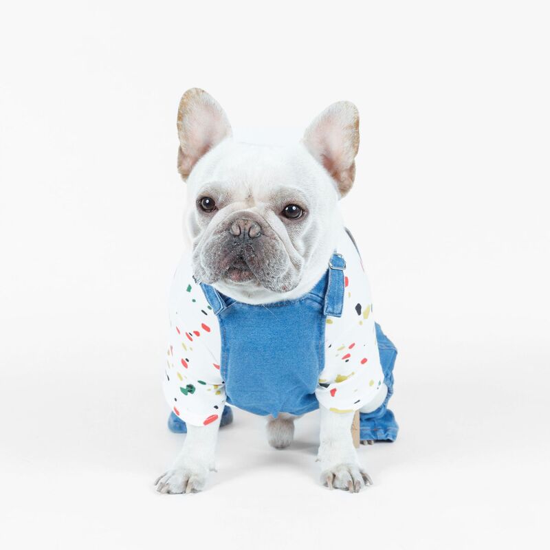 2021 Lente Nieuwe Hond T-shirt Casual Hond T-shirt Pure Cotton Pet T-shirt Nieuwste Teddy Kleding, Pet Kleding