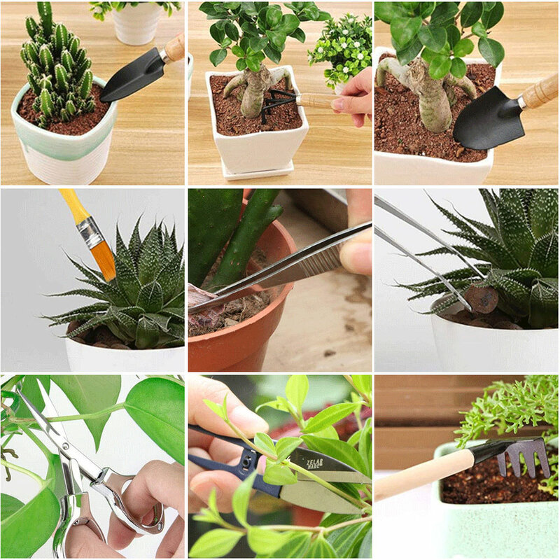 10 Pçs/set Planta Mini Ferramenta De Transplante Kit Cactus Plantio Bonsai Cuidado Conjunto de Ferramentas Da Mão Do Jardim Mini Para Acessórios de Jardinagem