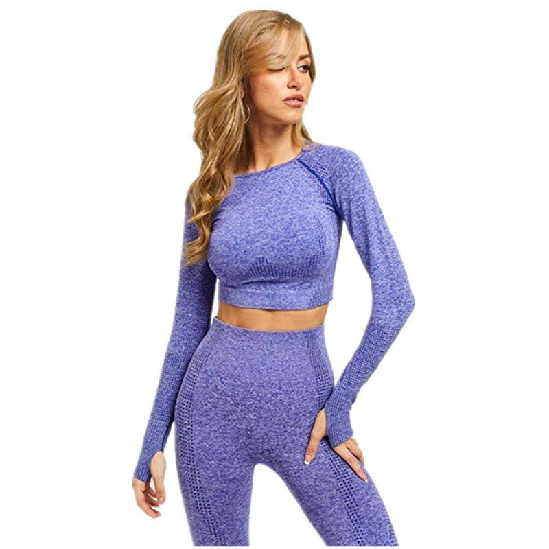 2/3/5 pçs sem costura conjunto de yoga feminino workout roupas de ginástica roupas de fitness cintura alta leggings manga longa colheita superior ternos esportivos