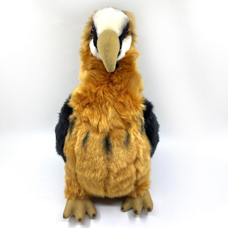Bonecas de pelúcia simulação de pássaro de águia, 25cm, bonecos fofos, animais de pelúcia macios, coleção de presente para crianças