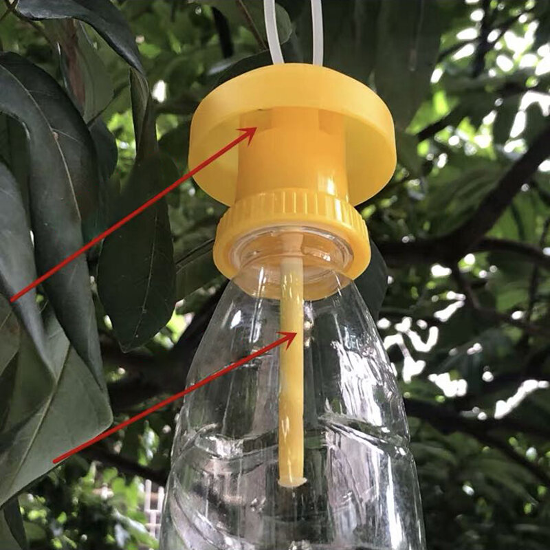 Panas Baru Murah Buah Terbang Perangkap Pembunuh Plastik Drosophila Perangkap Kuning Terbang Penangkap Hama Serangga Kontrol untuk Rumah Pertanian Kebun 6*6*2Cm