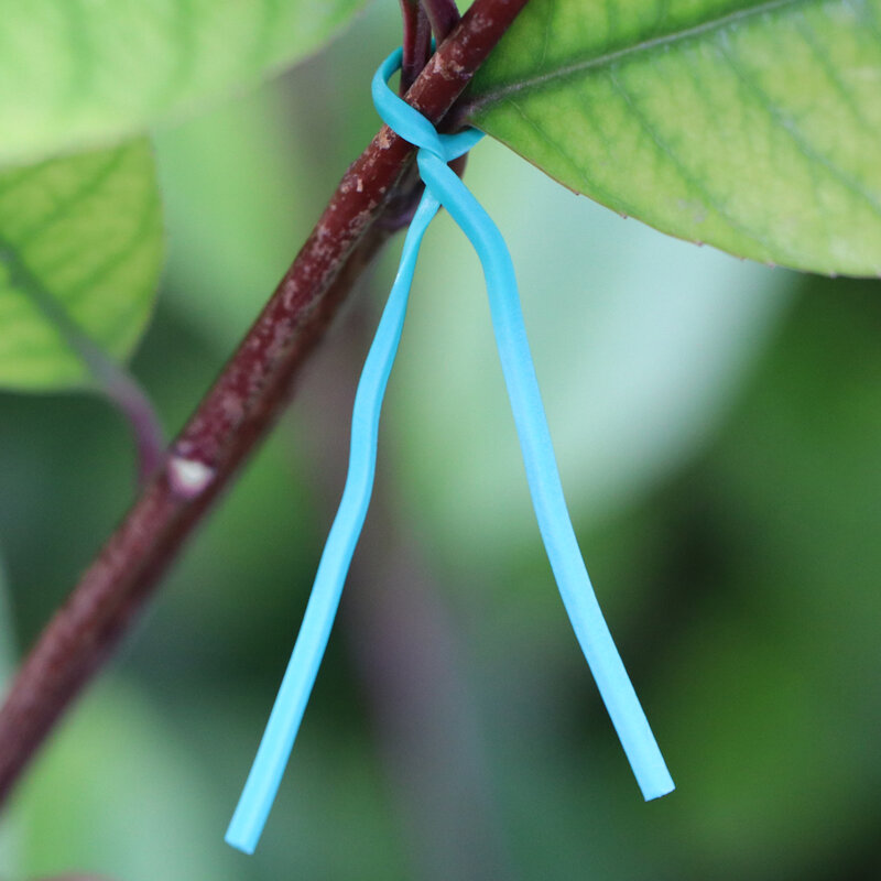 1000pc oblate jardinagem cabo laços reutilizáveis fio de ferro torção gravata para planta de flor trepadeiras multifunções revestido fix cordas