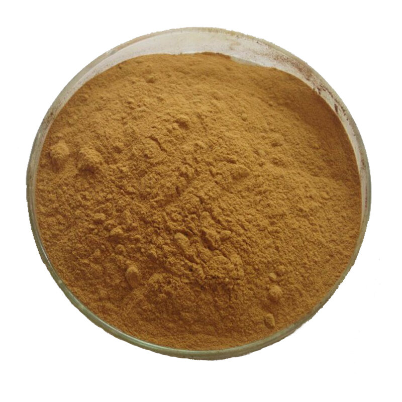 High Quality Eyebright Extract Powder Anti Acne, Skin Care, Cosmetic Raw