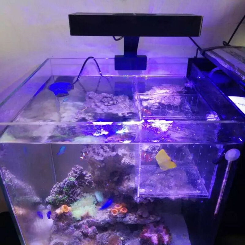 Led spectra nano aquário luz 30w iluminação de água salgada com controle toque para recife coral tanque peixes plug eua dropshipping