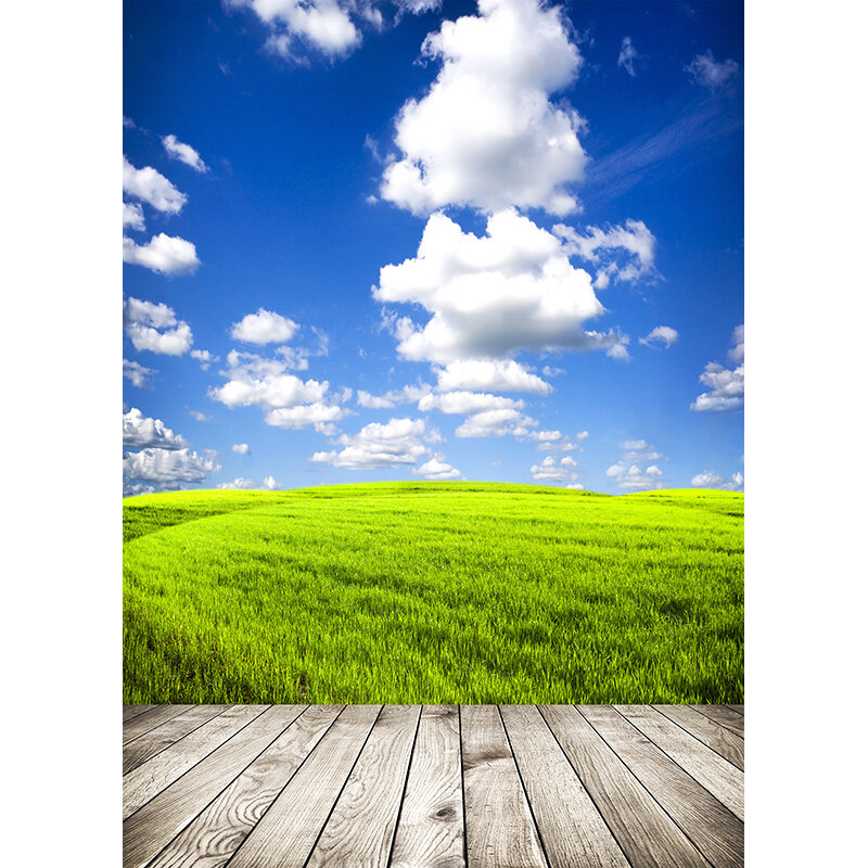 SHUOZHIKE Spring Forest Wooden Floor Photography Backgrounds Sky Sea Scenery Baby Portrait Photo Backdrops Studio  21415 FGM-03