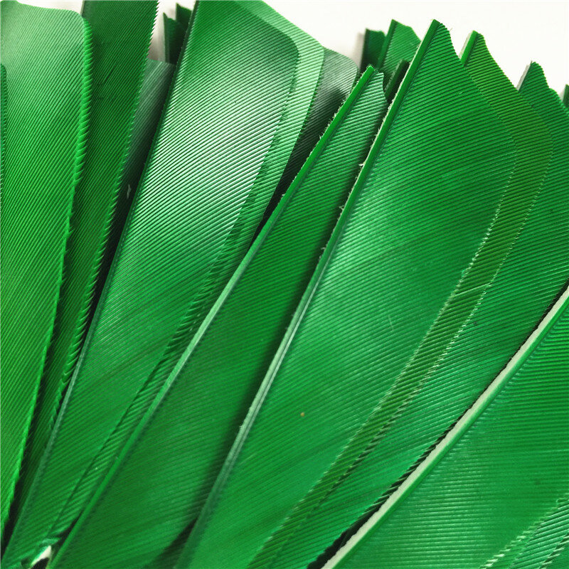 Pcs Alta Qualidade 3 50 "polegada Feath Escudo Corte Palhetas de Seta Real Pena Penas de Seta Cor Verde da Pena do Peru palhetas de Seta da Curva