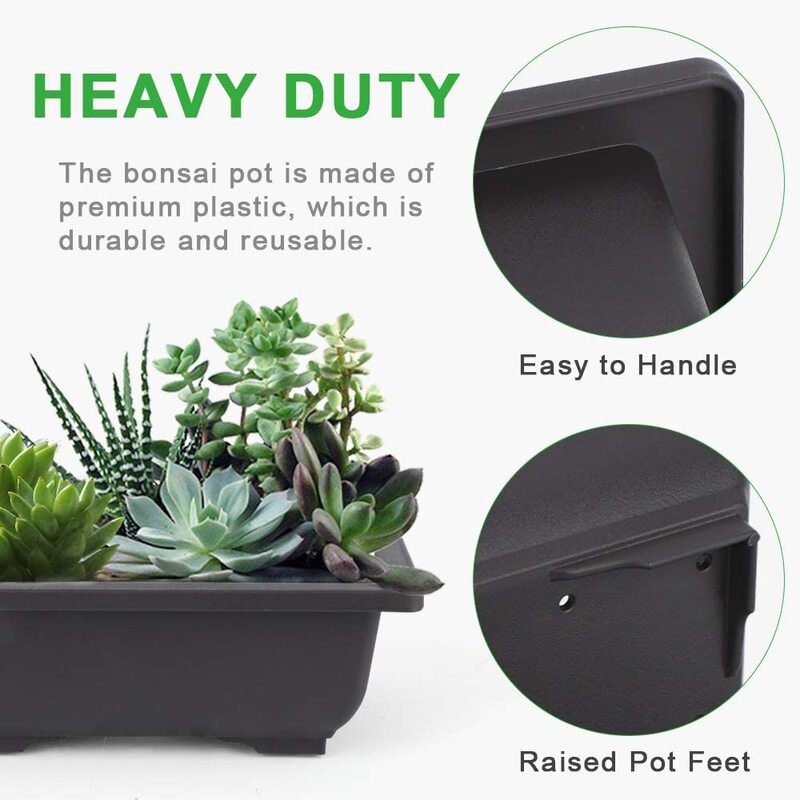Pots d'entraînement bonsaï avec plateau en plastique, 10 paquets, 16,5x12cm, plantes Gg pour jardin, cour, salon et balcon