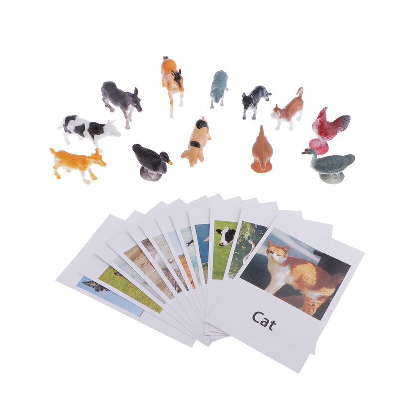 12 Packs Montessori Learning Fowl  Poultry Animal Model with Matching Cards Gift