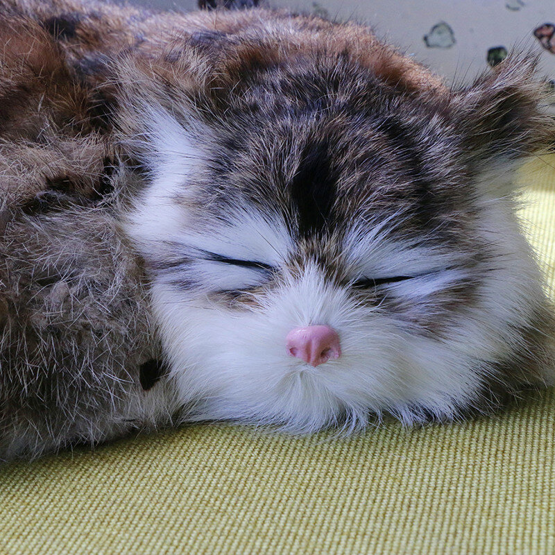 Imitacja kota małe zwierzę lalka model pluszowa lalka fałszywe zabawka kot prezent symulacja symulacja kotek