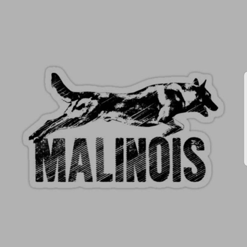 Car stickers and decals Malinois, Belgium, car waterproof and shielding scratch, suitable for door and front, PVC