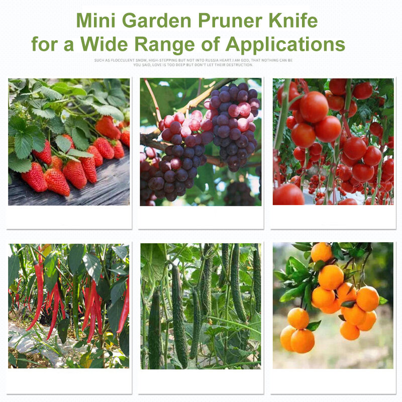 Mini podadora de frutas de jardín, dispositivo de recolección de fruta multifunción, cuchillo de pulgar seguro, herramienta de hoja de corte, anillos, Protector de dedos