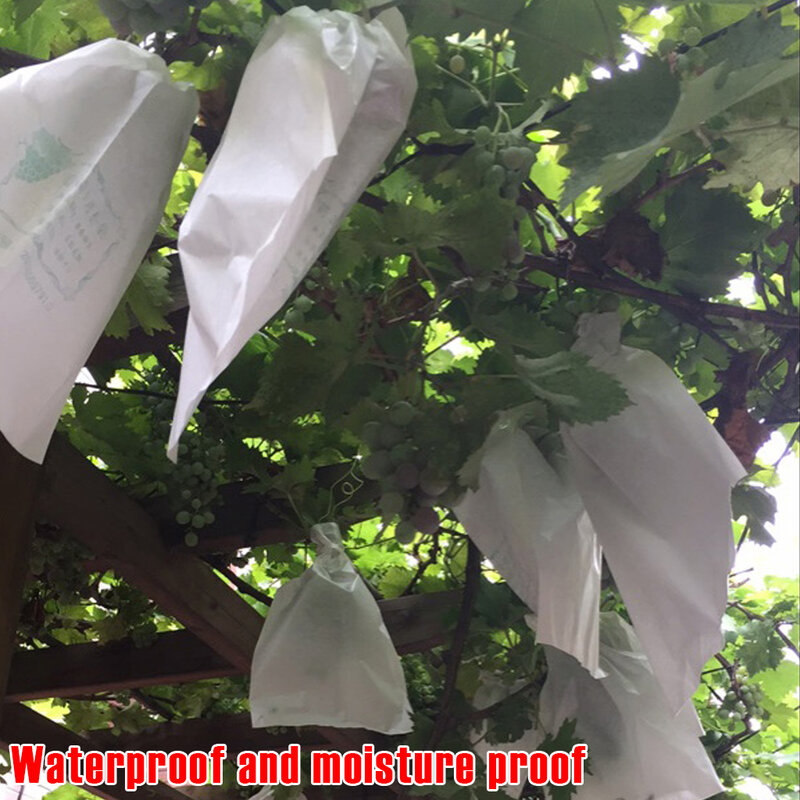 100Pcs การควบคุมศัตรูพืชกันน้ำ Anti-BIRD Garden องุ่นป้องกันกระเป๋าสำหรับผักผลไม้องุ่นถุงตาข่ายป้องกัน...