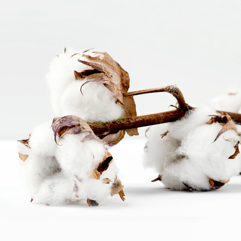 Nam Cotton Mùa Thu Kinh Doanh Thoáng Khí Nam Thủy Thủ Đoàn Đầm Tất Meias Nhiều Màu Sắc Thời Trang Vui Sox Nóng Ống Tất Vớ Nam trắng
