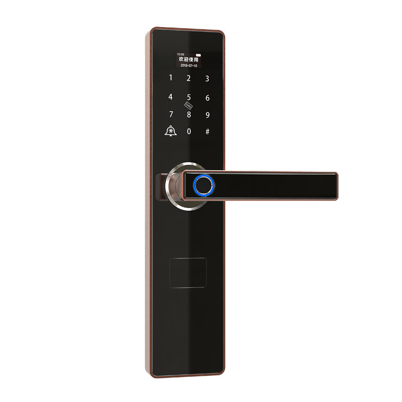 Смарт-замок дверной со сканером отпечатка пальца и поддержкой Wi-Fi