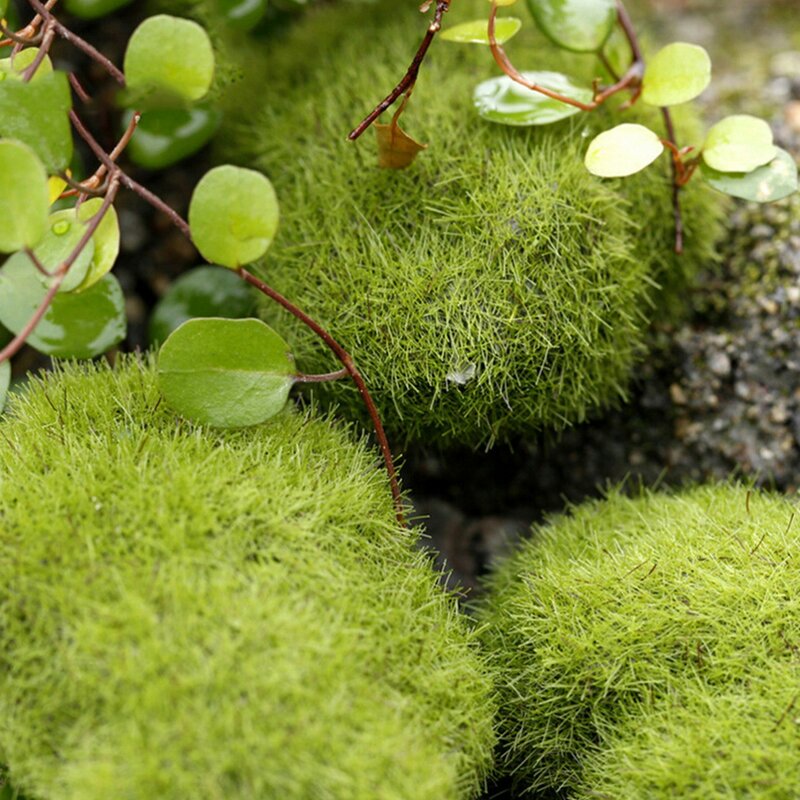Micro paisagem verde fada jardim decoração em miniatura ornamento artificial falso musgo aquário jardim planta gramado mossy pedra