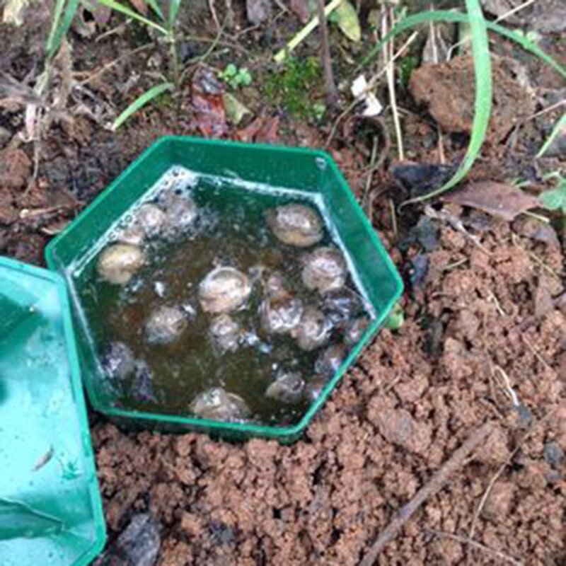 8 pièges à escargots de bière écologiques pour attraper des escargots, sans danger pour les enfants et les animaux domestiques