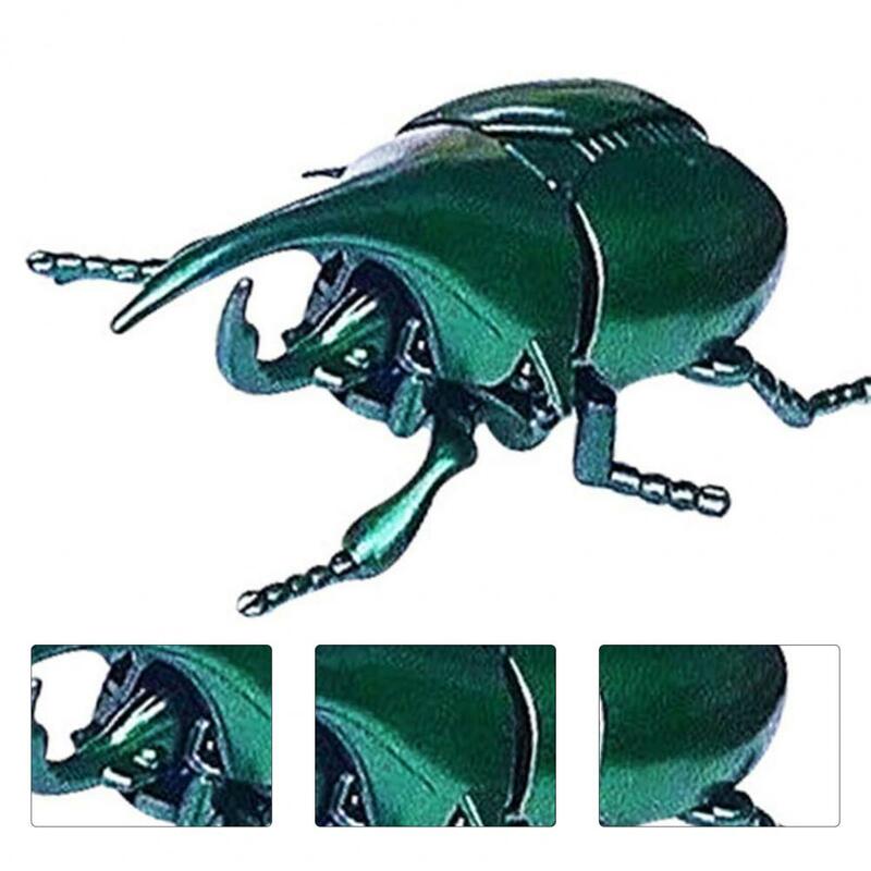 Interés Mini resistente al desgaste, modelo sólido, adornos, escarabajo realista, regalo de cumpleaños, escarabajo falso, juguete